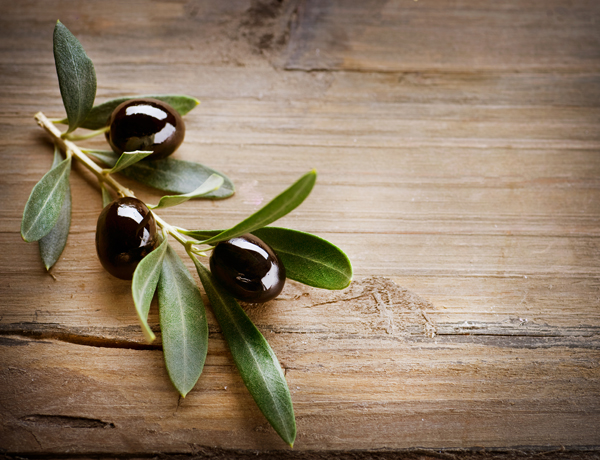 luomu-oliivi-organic-olive-web